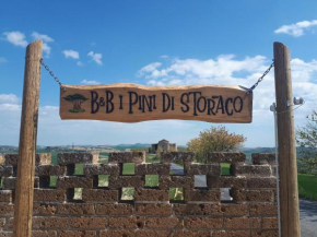 B&B I Pini Di Storaco